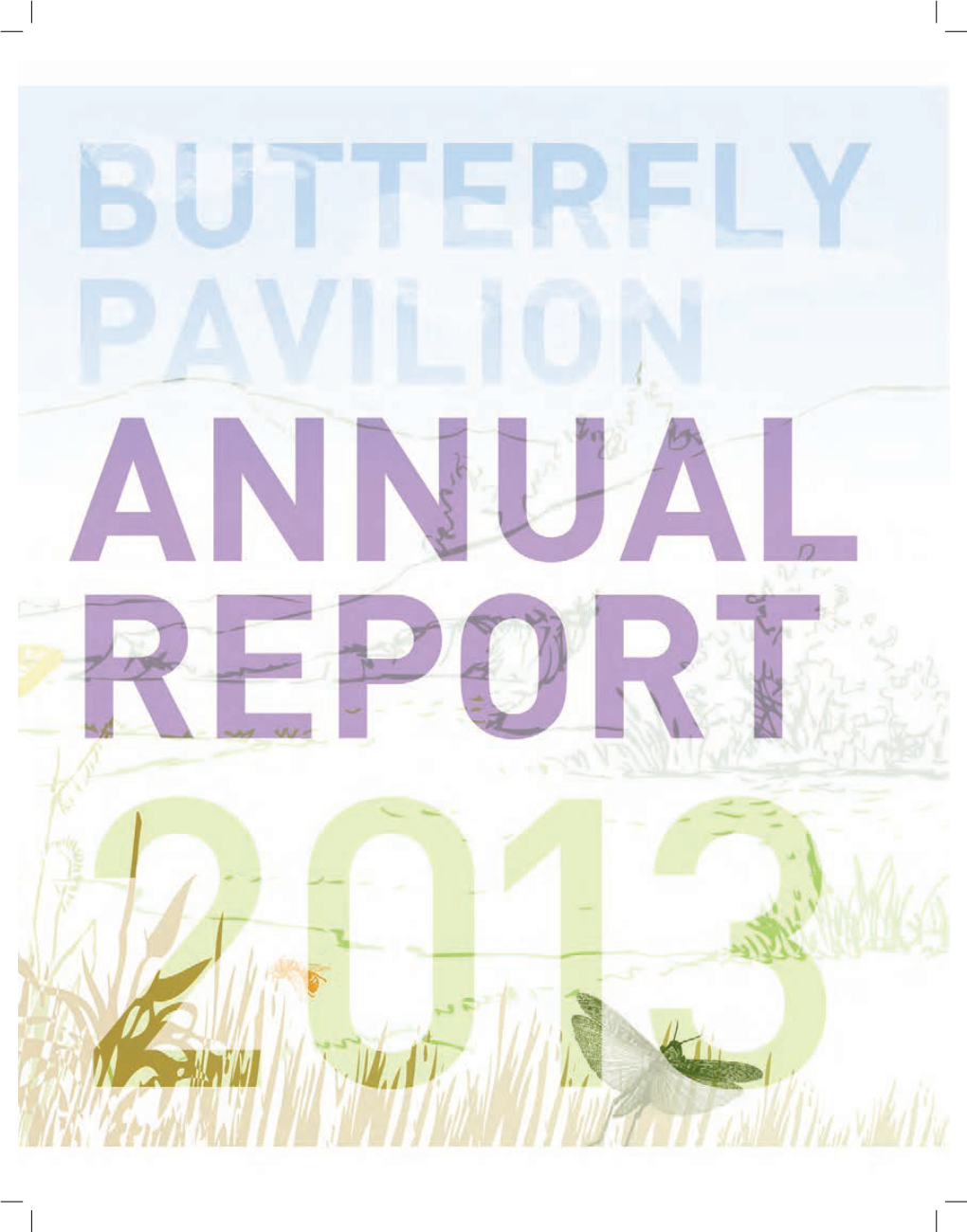 Download Our 2013 Annual Report