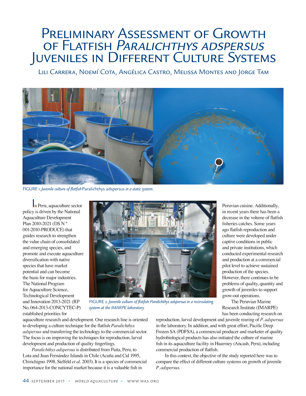 Preliminary Assessment of Growth of Flatfish Paralichthys Adspersus