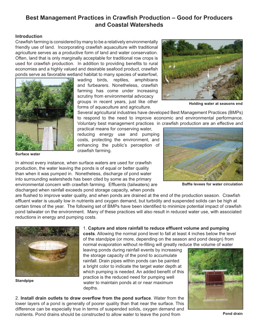 Best Management Practices in Crawfish Production – Good for Producers and Coastal Watersheds