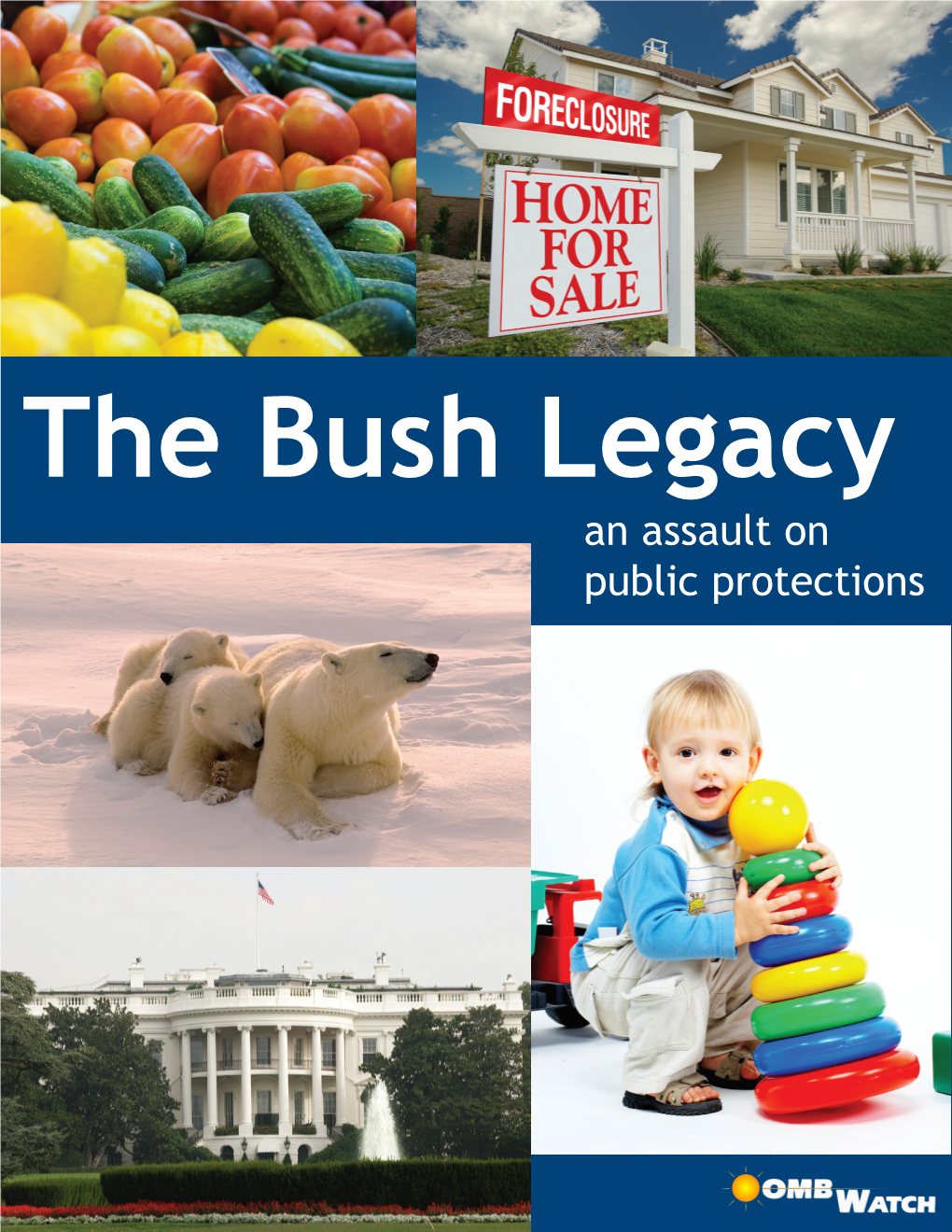 The Bush Legacy an Assault on Public Protections Acknowledgements