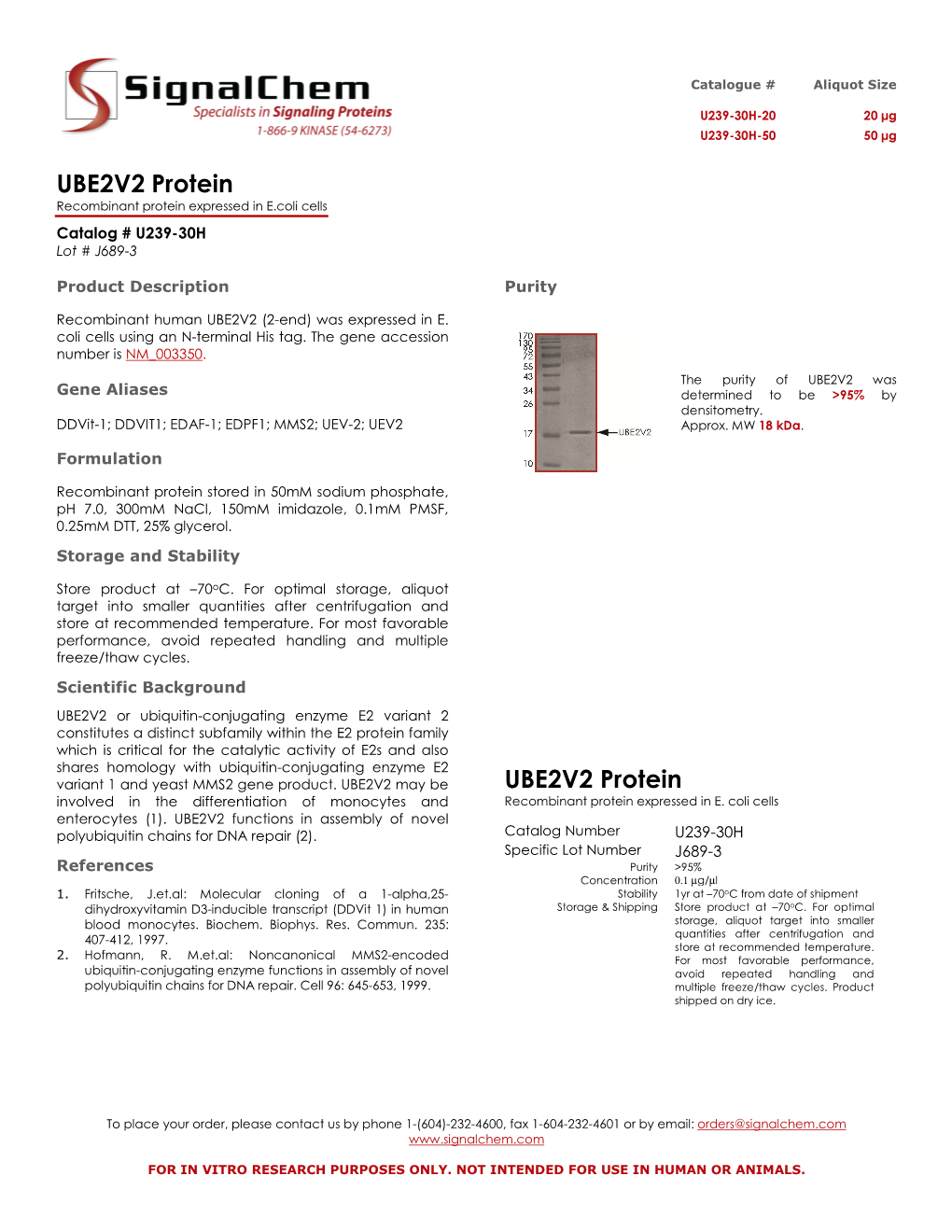 UBE2V2 Protein UBE2V2 Protein