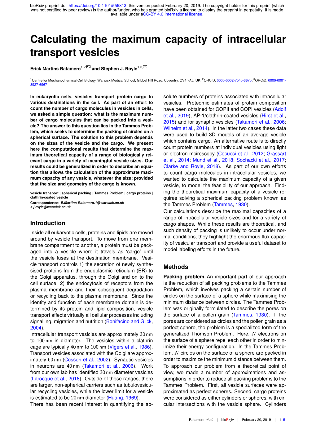 Calculating the Maximum Capacity of Intracellular Transport Vesicles