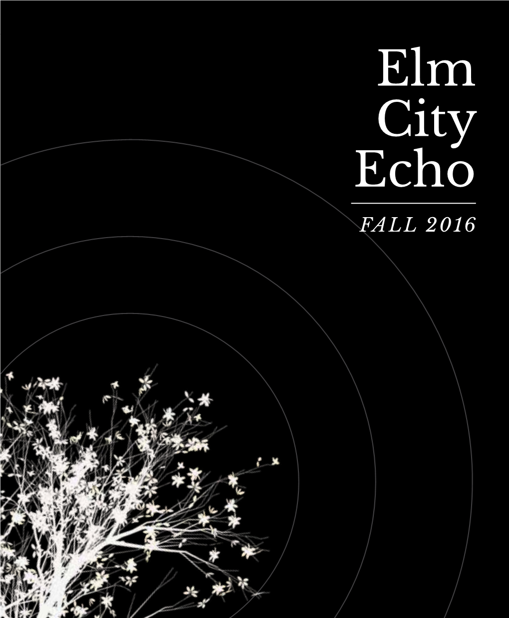 Elm City Echo