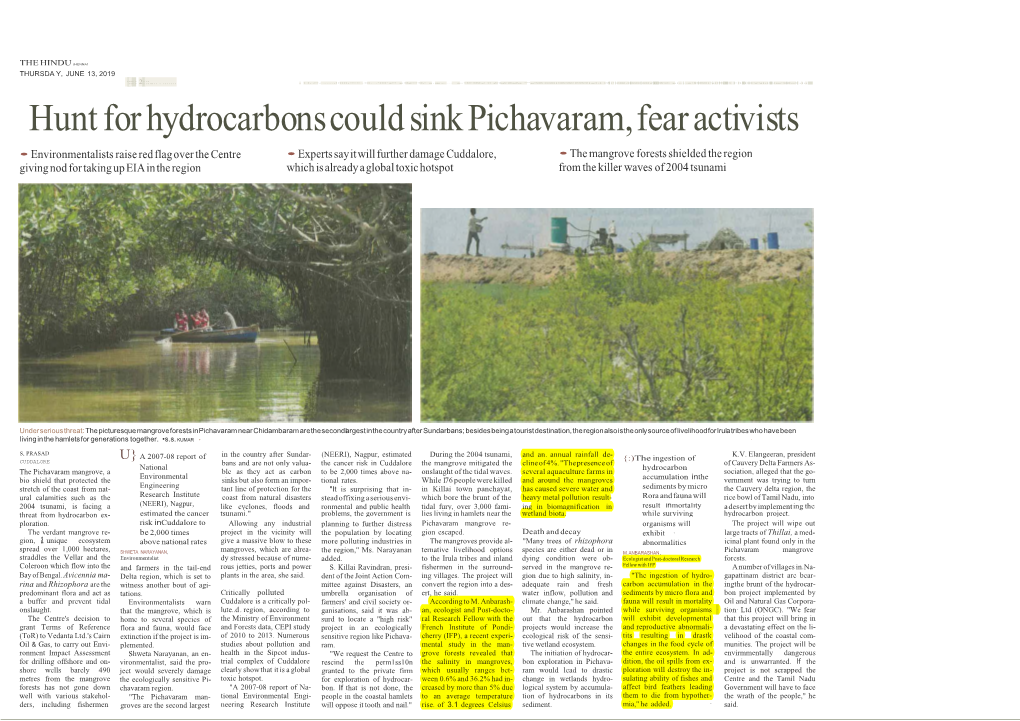 Hunt for Hydrocarbons Could Sink Pichavaram, Fear Activists