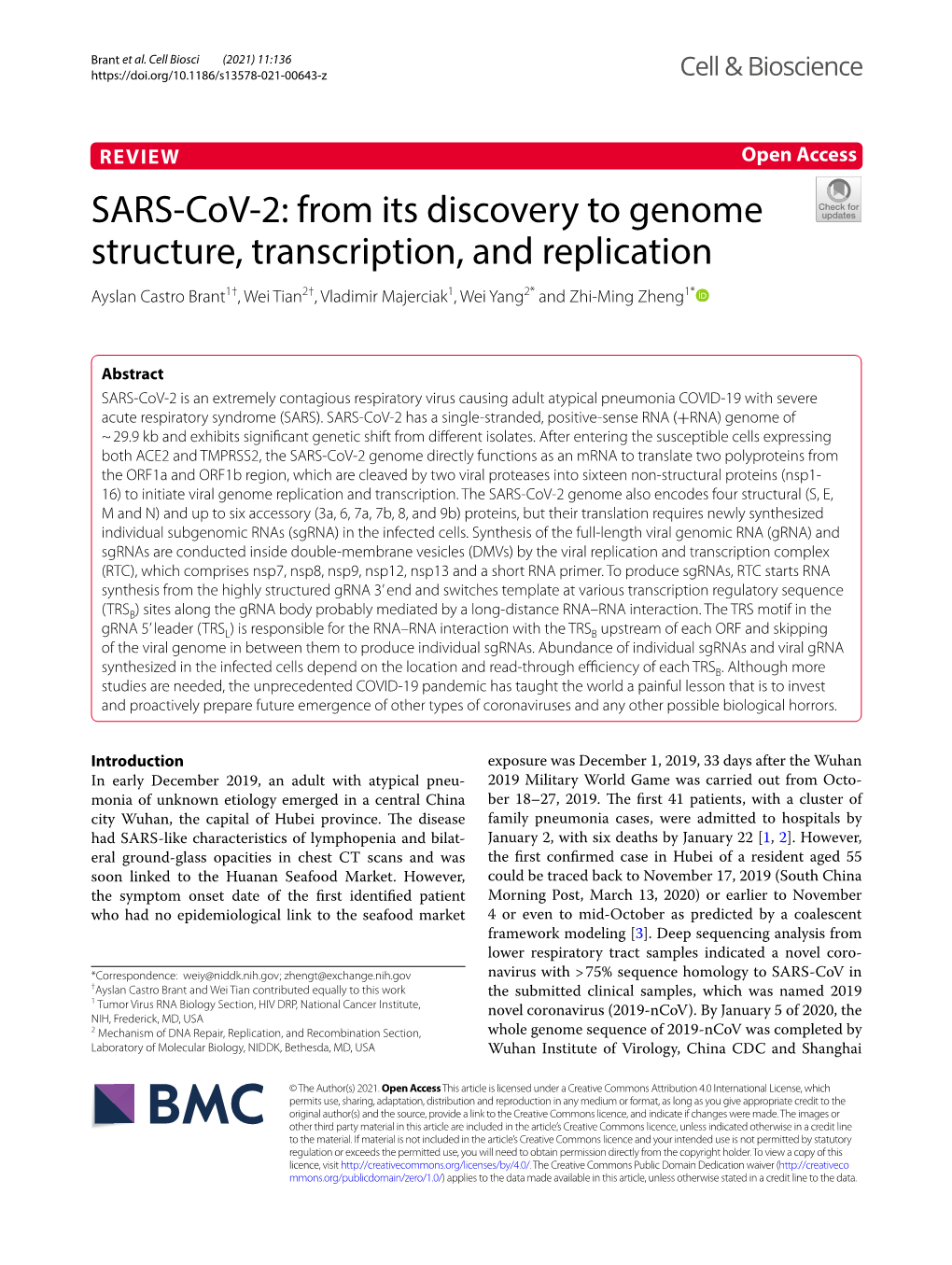 SARS-Cov-2: from Its Discovery to Genome Structure, Transcription, and Replication