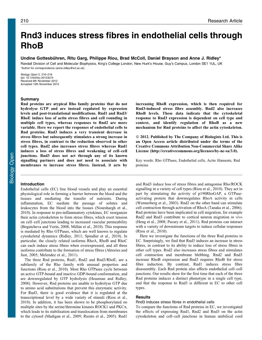 Rnd3 Induces Stress Fibres in Endothelial Cells Through Rhob