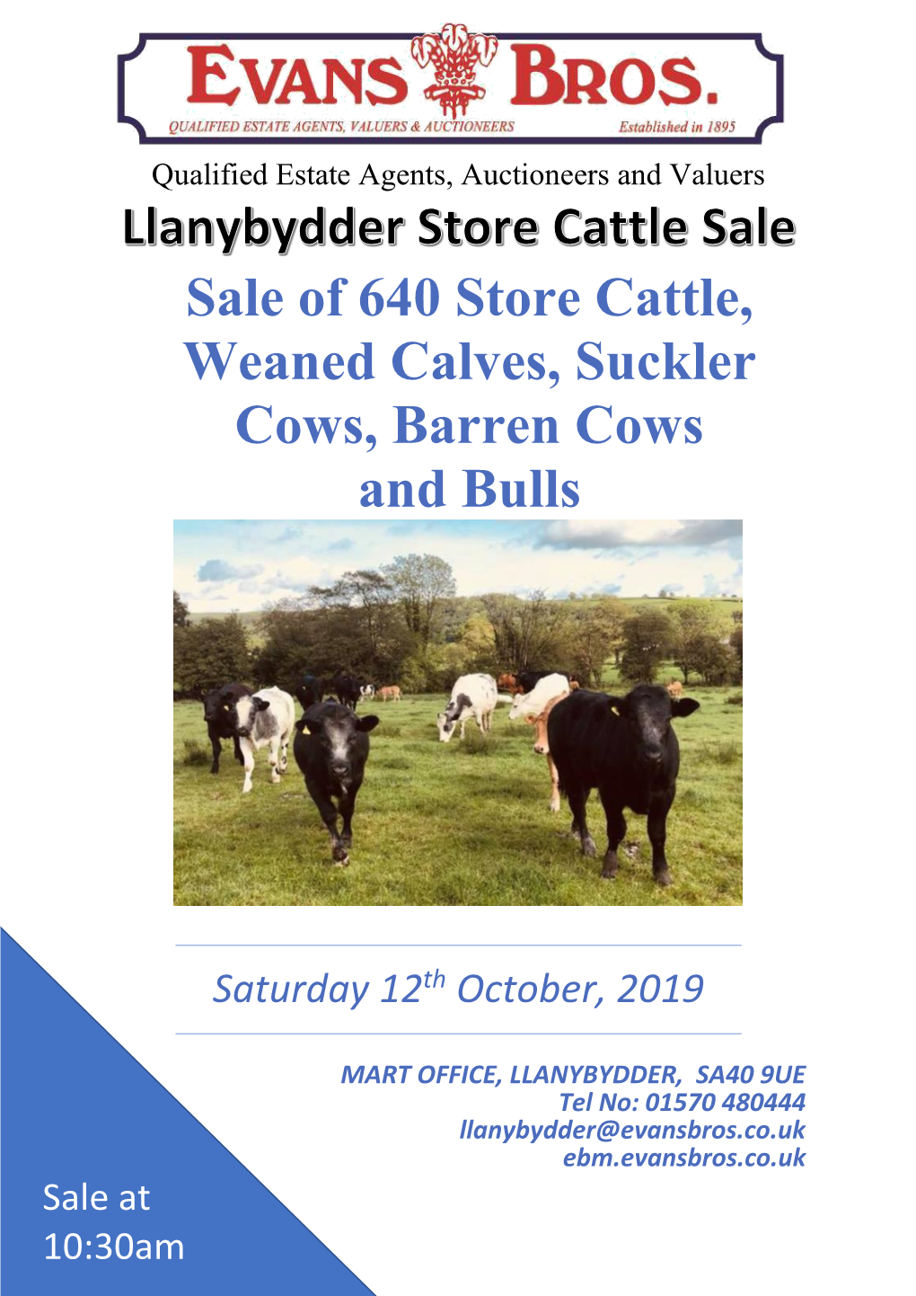 Sale of 640 Store Cattle, Weaned Calves, Suckler Cows, Barren Cows and Bulls