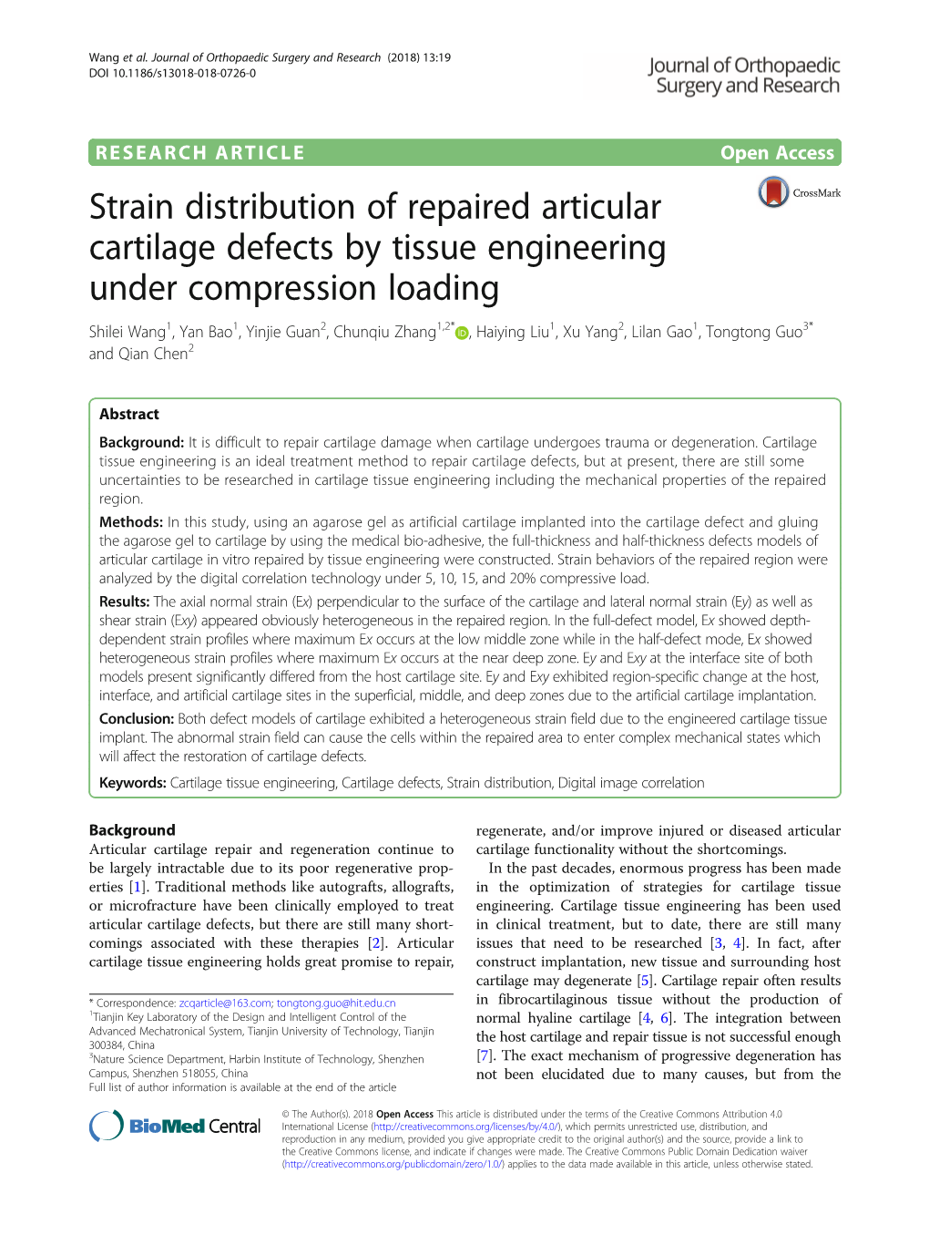 Strain Distribution of Repaired Articular Cartilage Defects by Tissue