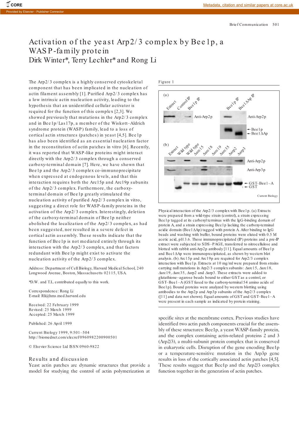 Activation of the Yeast Arp2/3 Complex by Bee1p, a WASP-Family Protein Dirk Winter*, Terry Lechler* and Rong Li