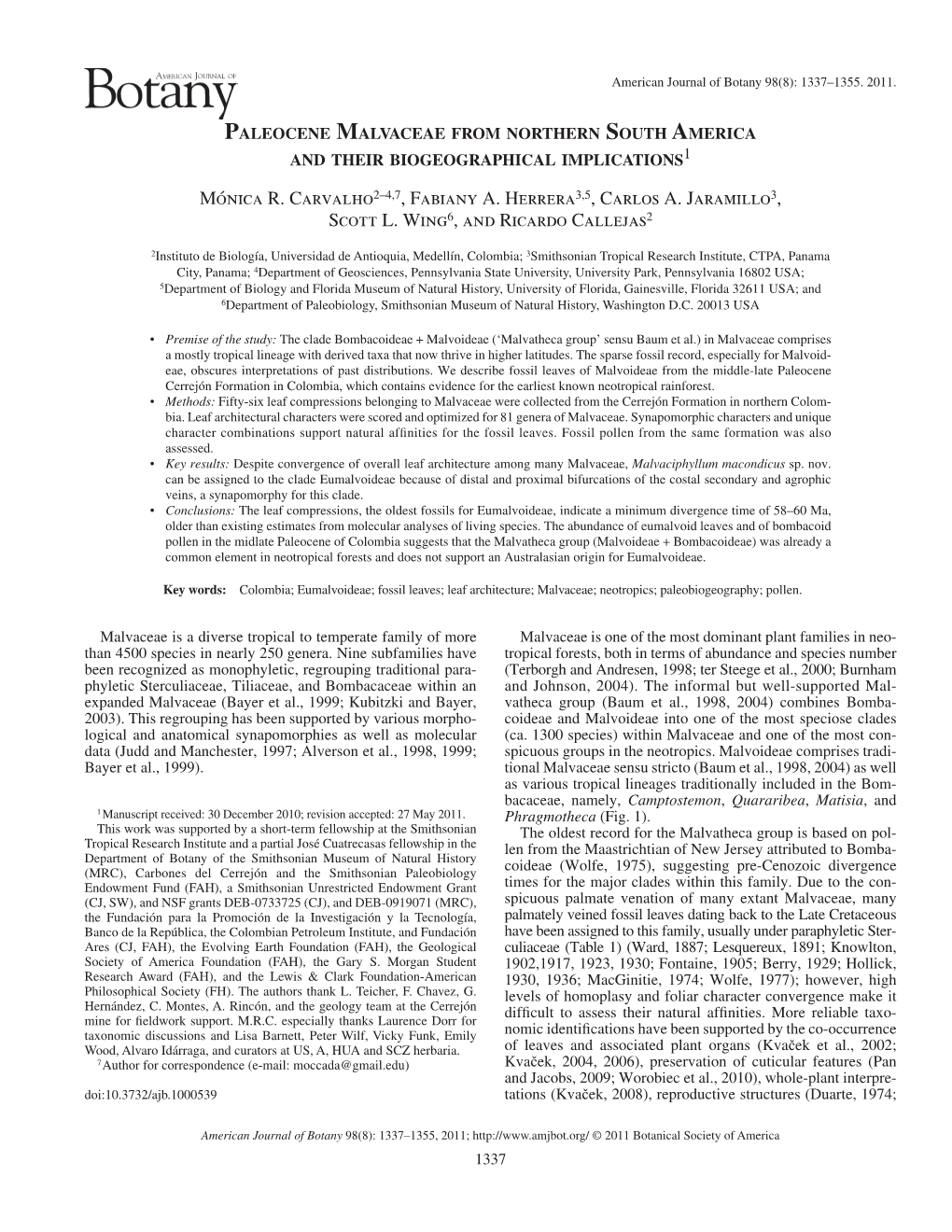 Paleocene Malvaceae from Northern South America