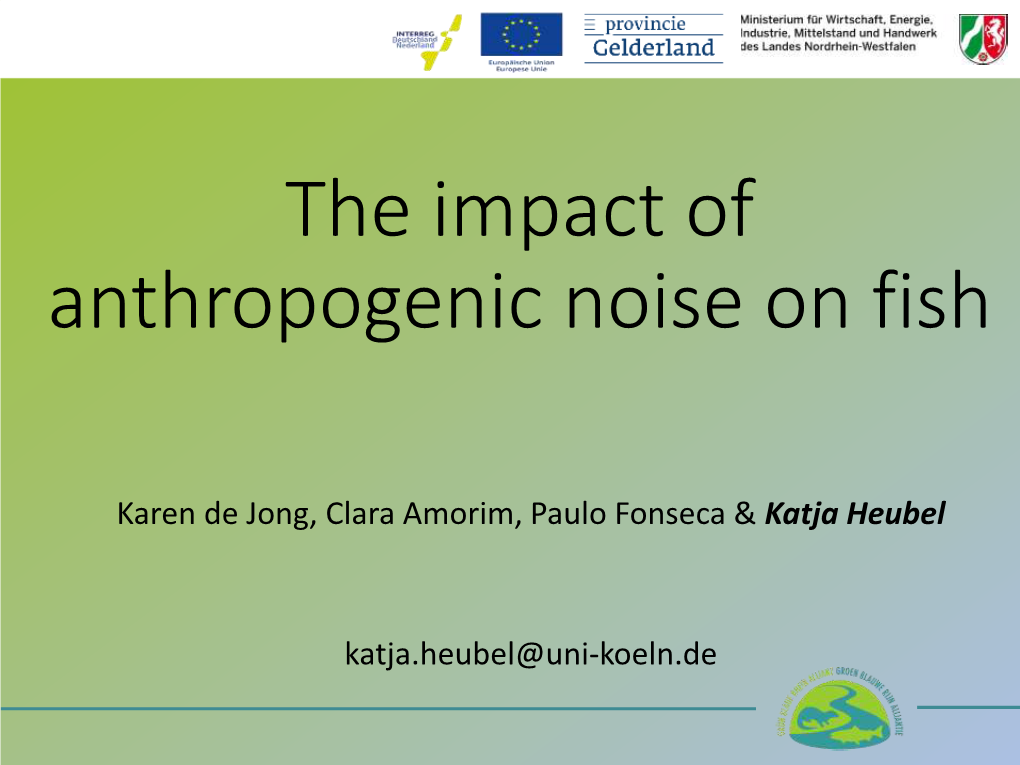 The Impact of Anthropogenic Noise on Fish