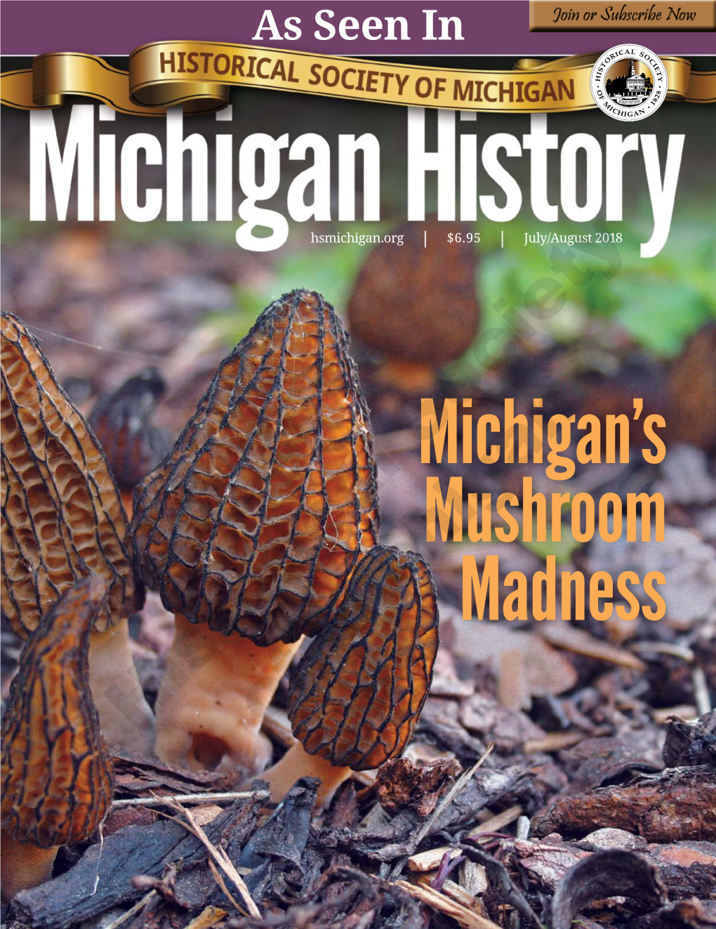 © 2018 Historical Society of Michigan