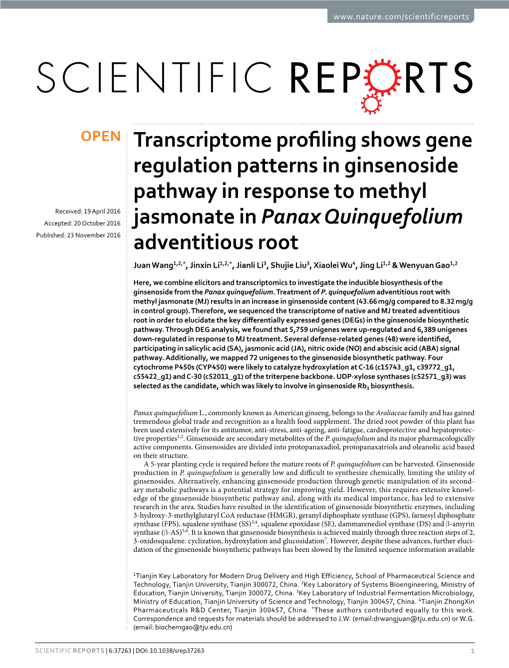 Transcriptome Profiling Shows Gene Regulation Patterns in Ginsenoside