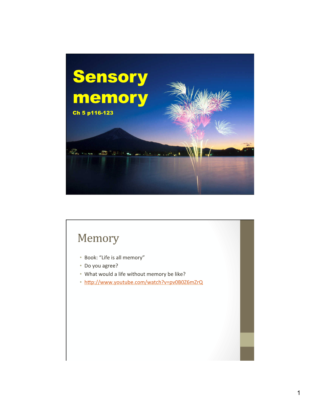 Sensory Memory Ch 5 P116-123