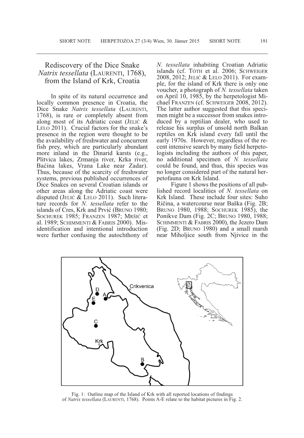 Rediscovery of the Dice Snake Natrix Tessellata