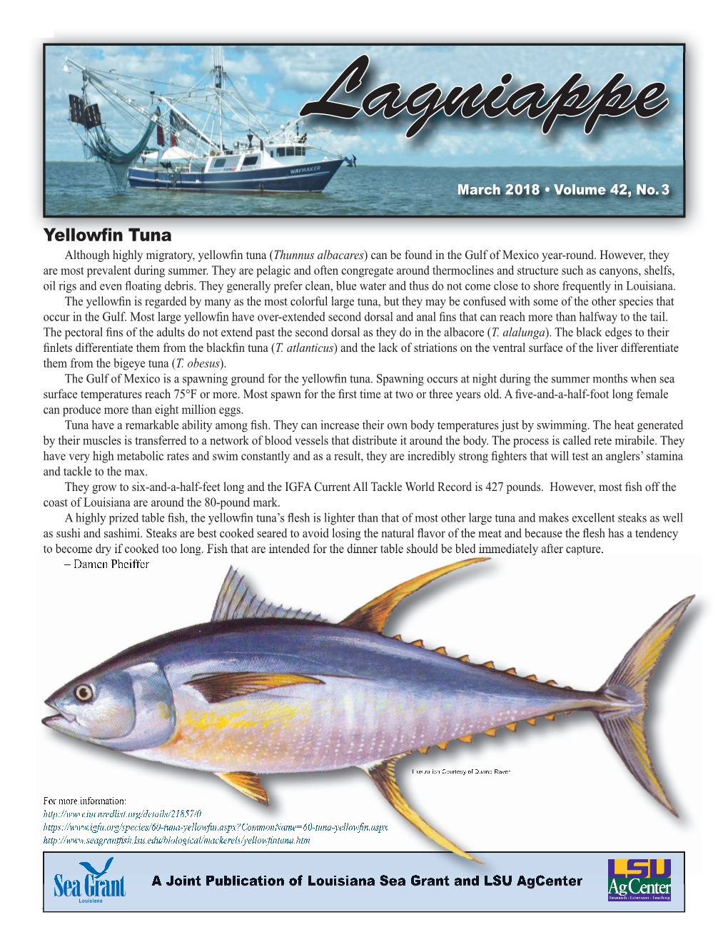 Yellowfin Tuna Although Highly Migratory, Yellowfin Tuna Thunnus( Albacares) Can Be Found in the Gulf of Mexico Year-Round