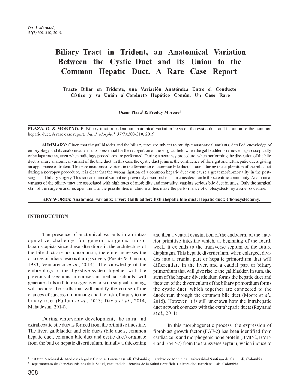 Biliary Tract in Trident, an Anatomical Variation Between the Cystic Duct and Its Union to the Common Hepatic Duct