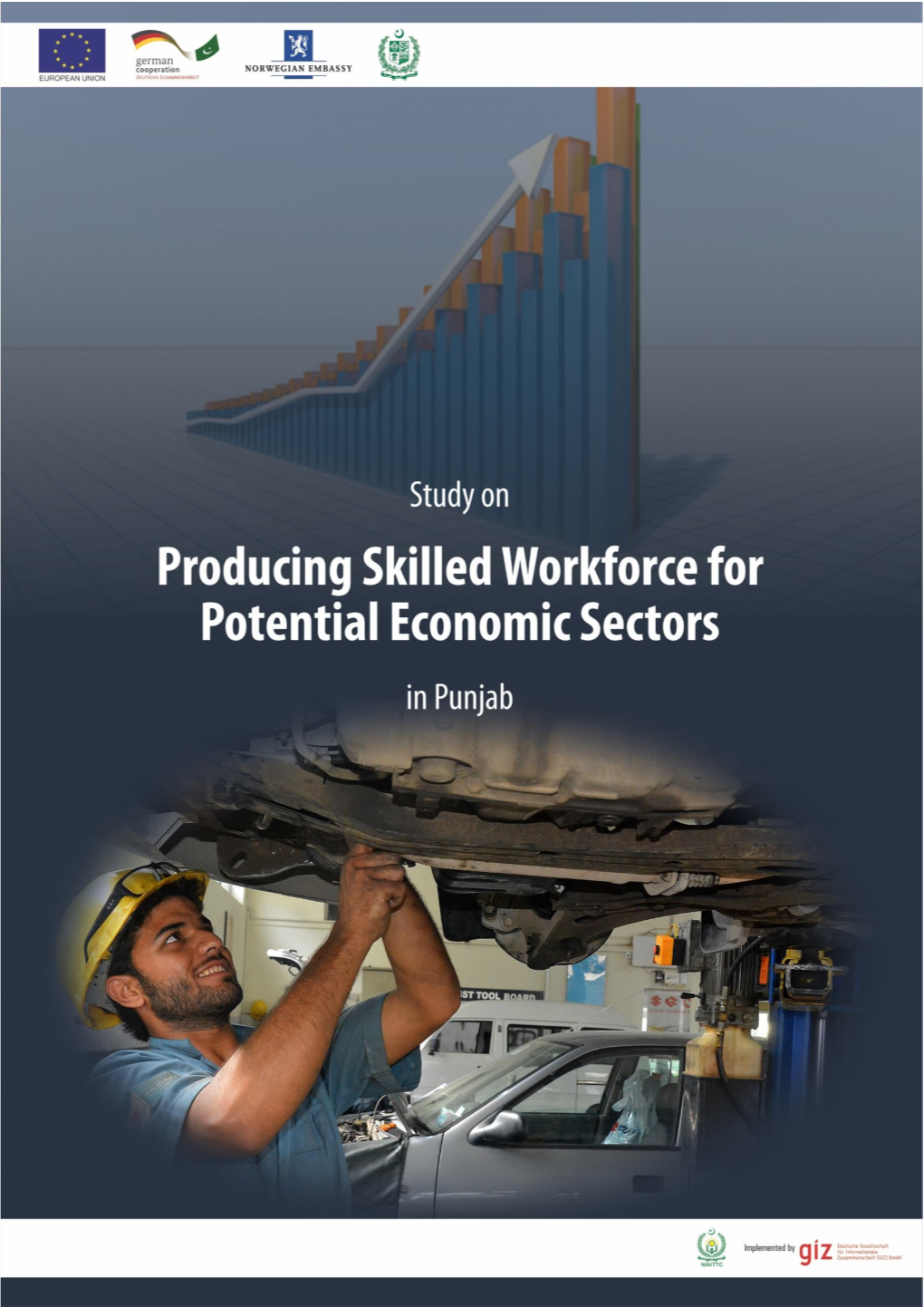 Study of Potential Economic Sectors-Punjab