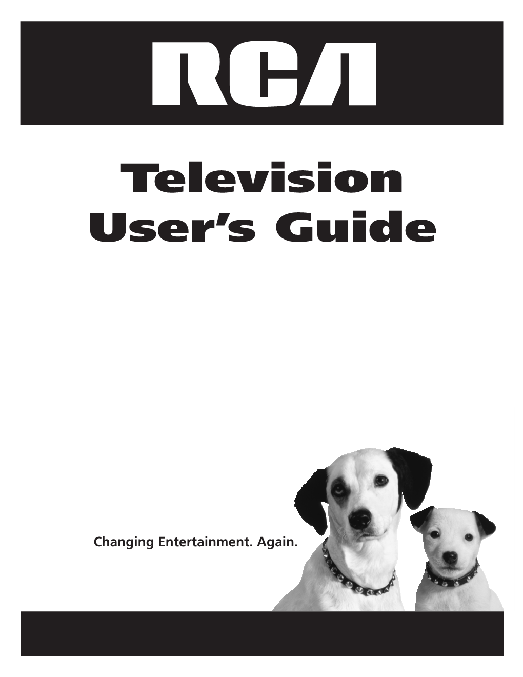 Television User's Guide