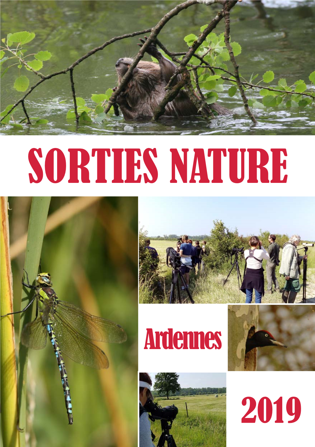 Sorties Nature