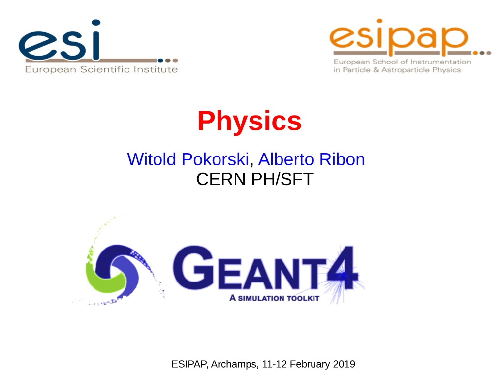 Physics Witold Pokorski, Alberto Ribon CERN PH/SFT