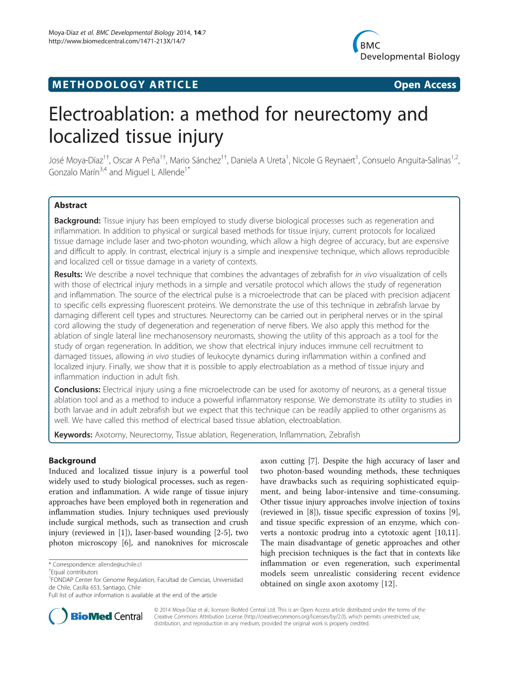 A Method for Neurectomy and Localized Tissue Injury