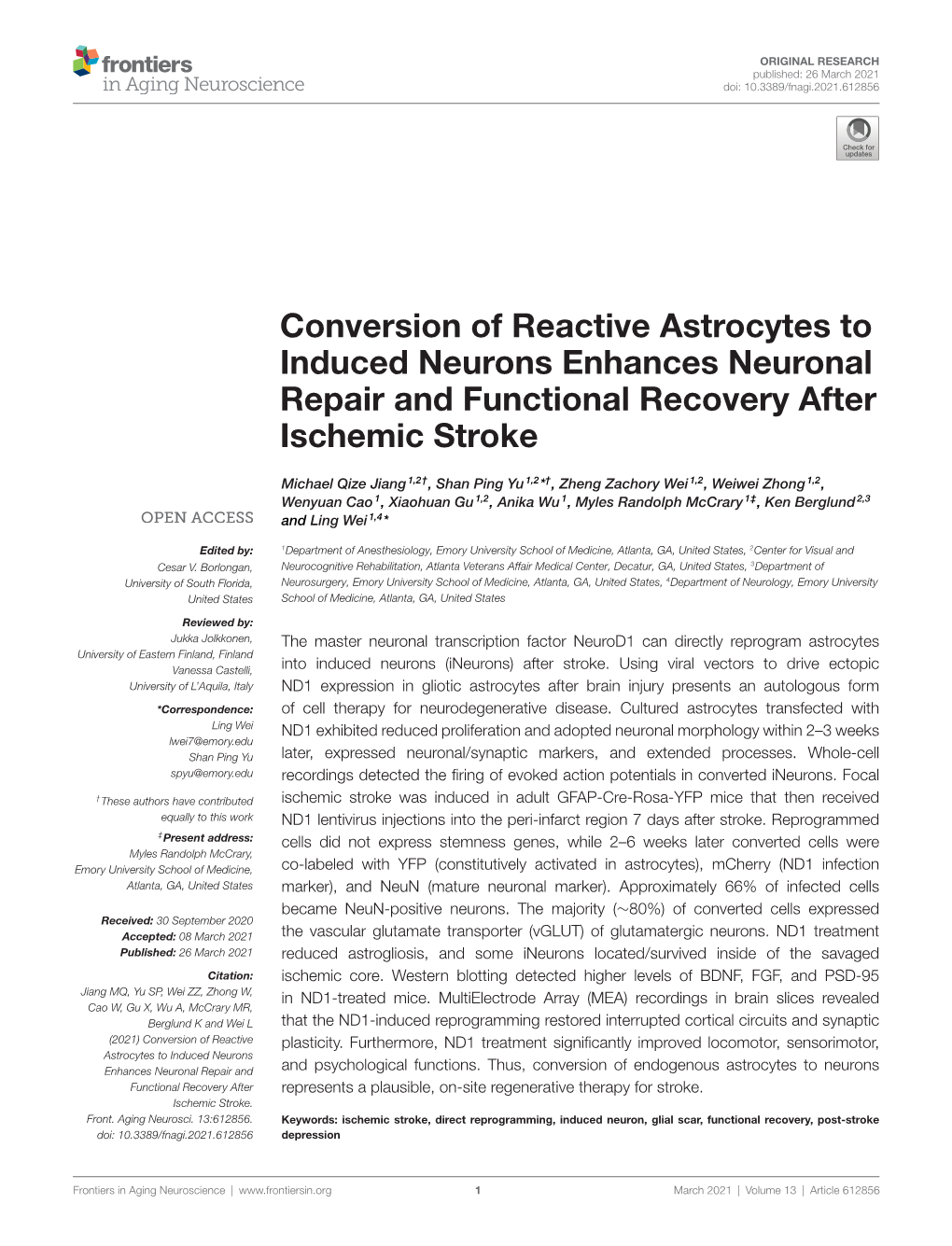 Conversion of Reactive Astrocytes to Induced Neurons Enhances Neuronal Repair and Functional Recovery After Ischemic Stroke