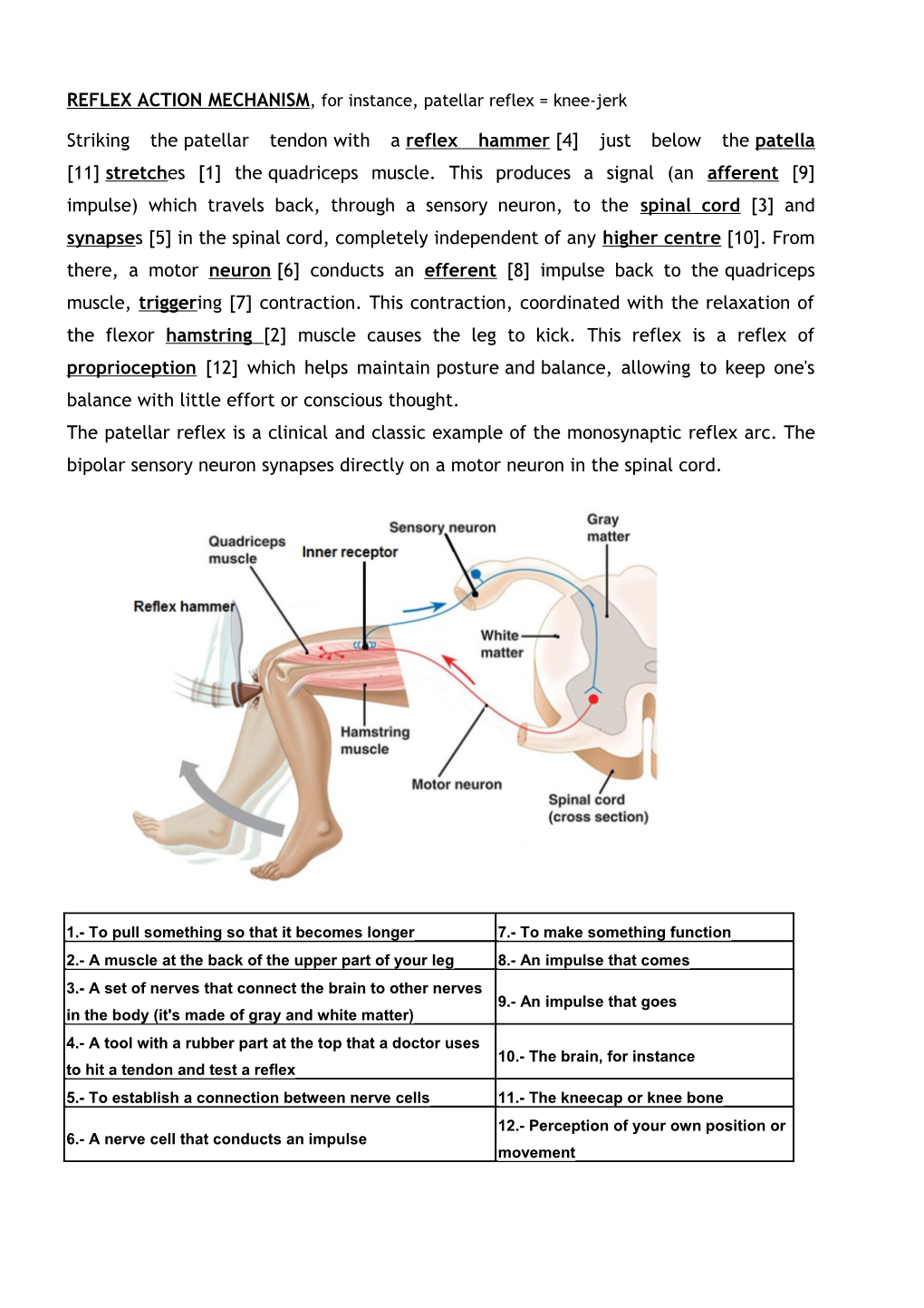 REFLEX ACTION MECHANISM , for Instance, Patellar Reflex = Knee-Jerk