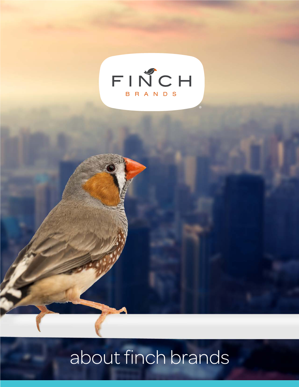 About Finch Brands ABOUT US Finch Brands Is a Real-World Branding Agency