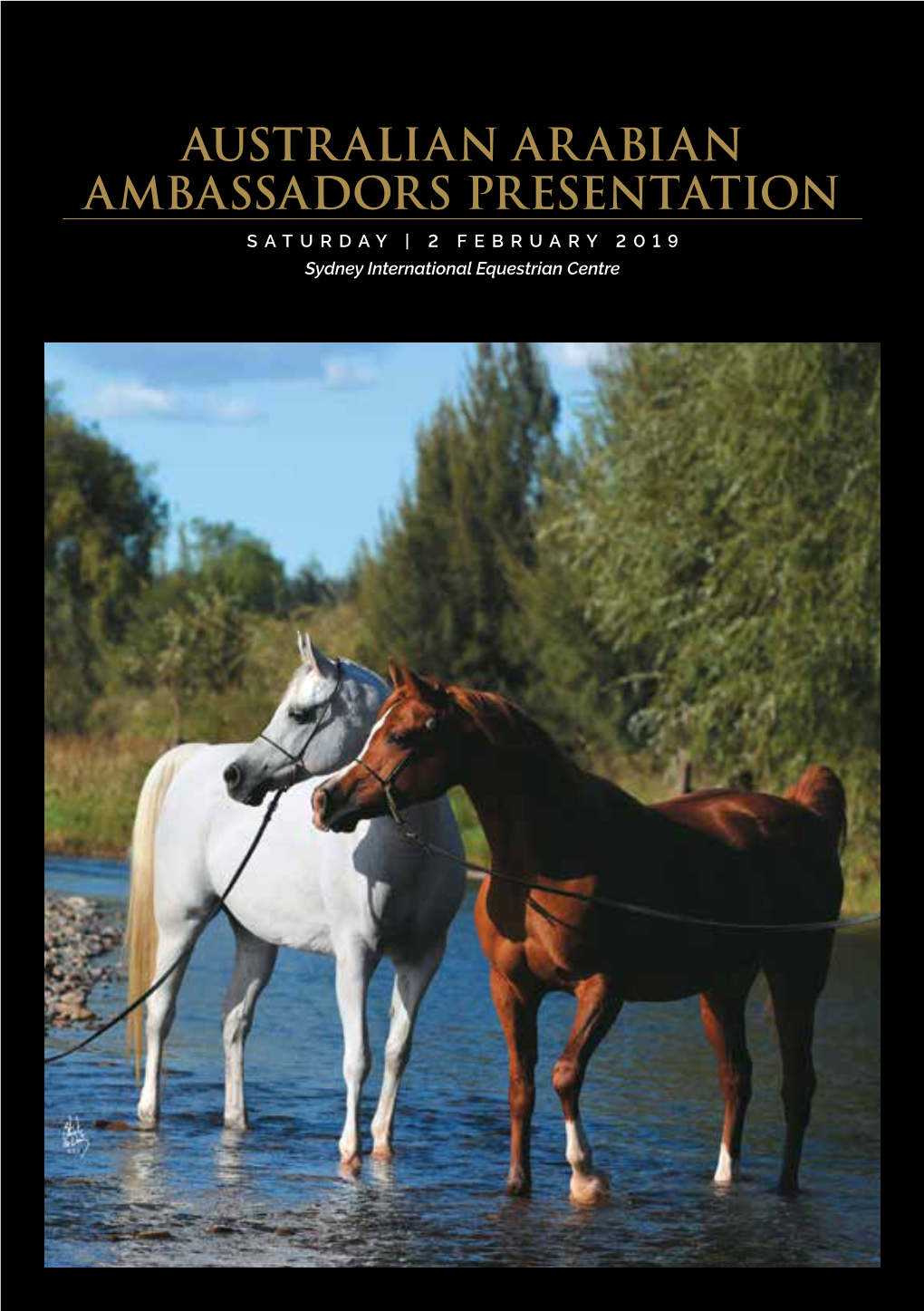 ARABIAN AMBASSADORS PRESENTATION SATURDAY | 2 FEBRUARY 2019 Sydney International Equestrian Centre a WARM WELCOME to the GLOBAL WAHO COMMUNITY