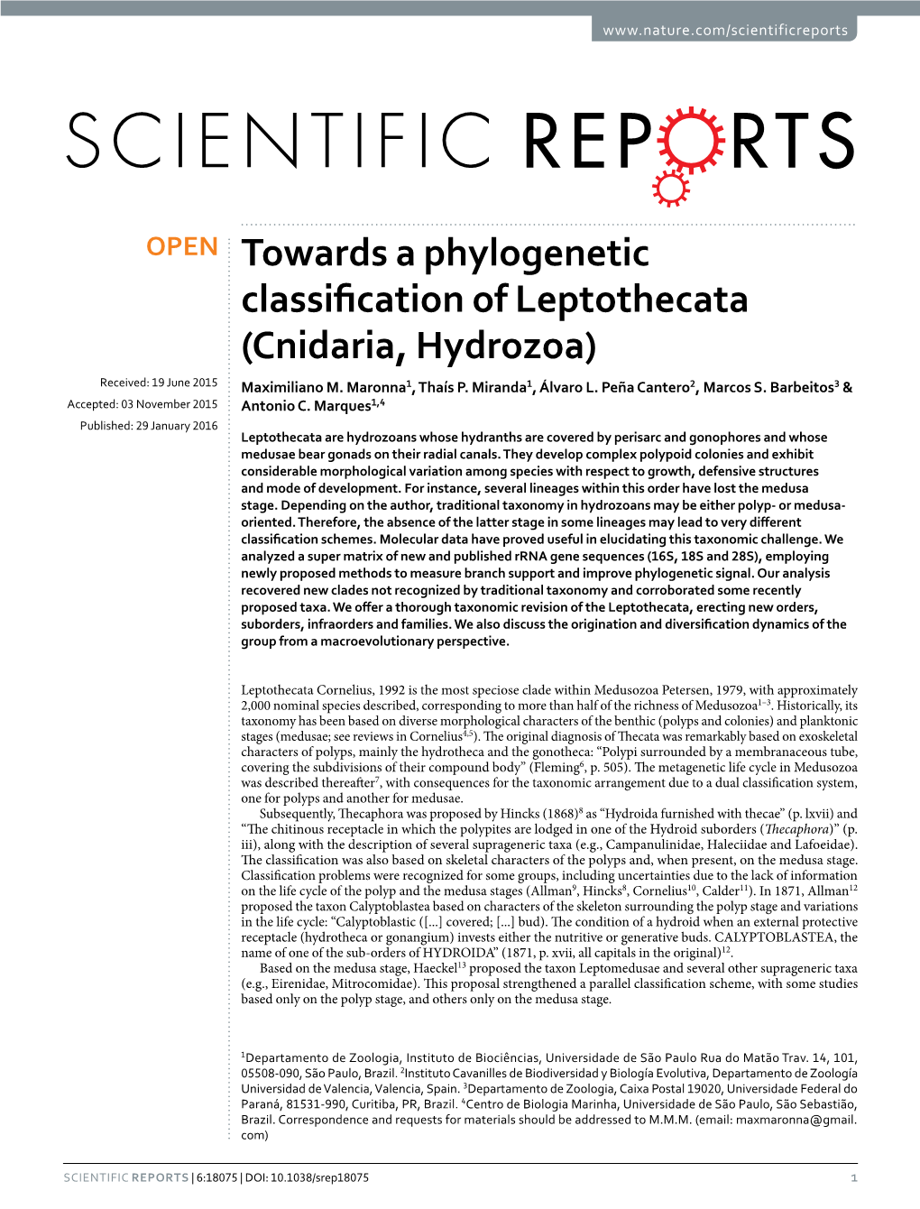 Towards a Phylogenetic Classification of Leptothecata (Cnidaria, Hydrozoa) Received: 19 June 2015 Maximiliano M