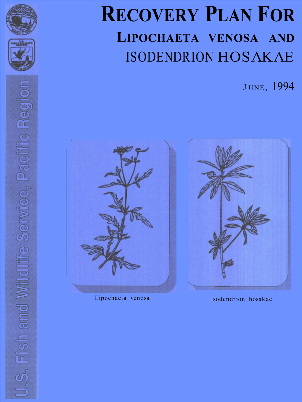 Recovery Plan for Lipochaeta Venosa and Isodendrion Hosakae