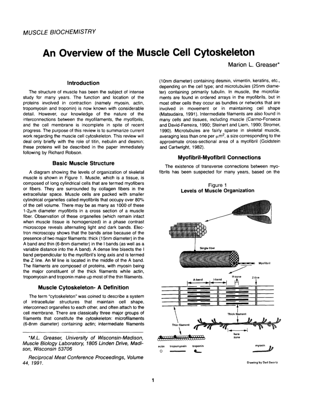 An Overview of the Muscle Cell Cytoskeleton Marion L