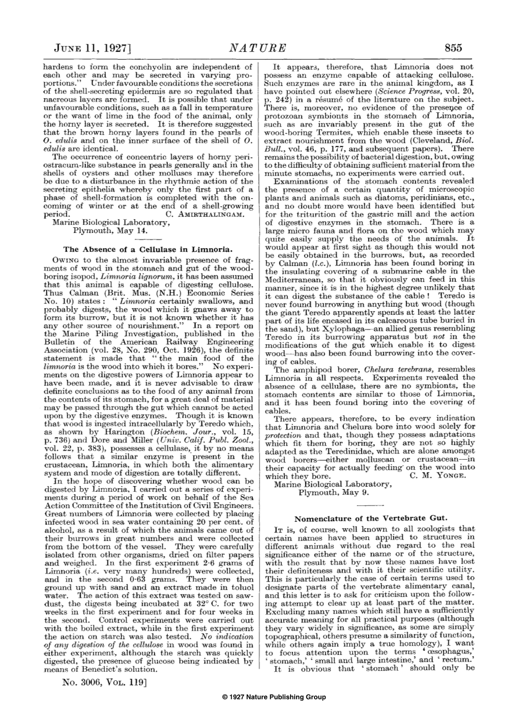 The Absence of a Cellulase in Limnoria