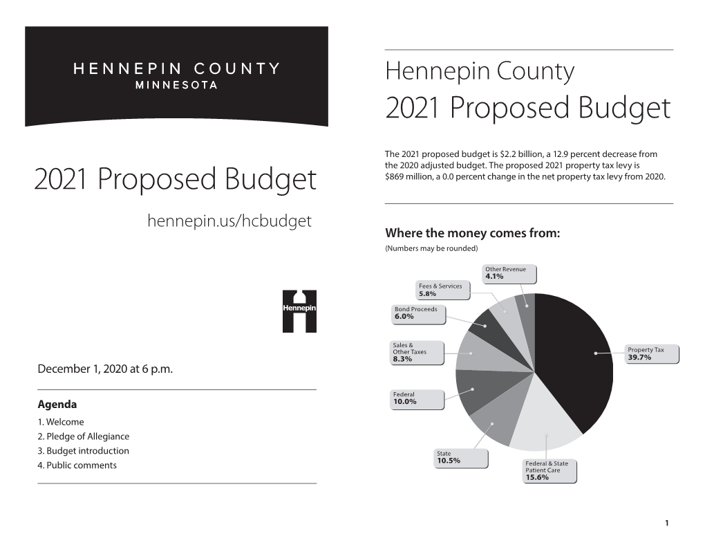 Hennepin County 2021 Proposed Budget