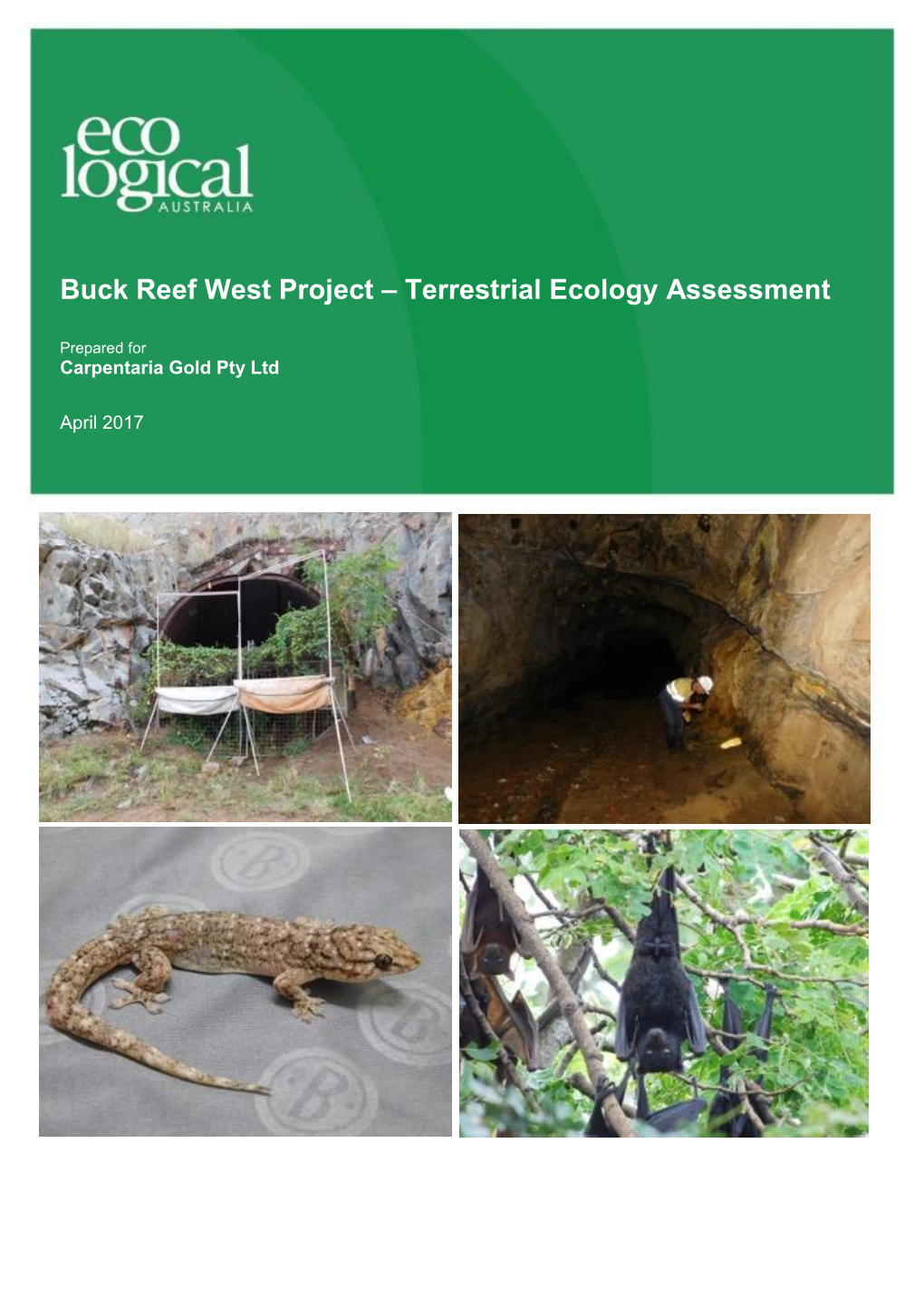 Terrestrial Ecology Assessment