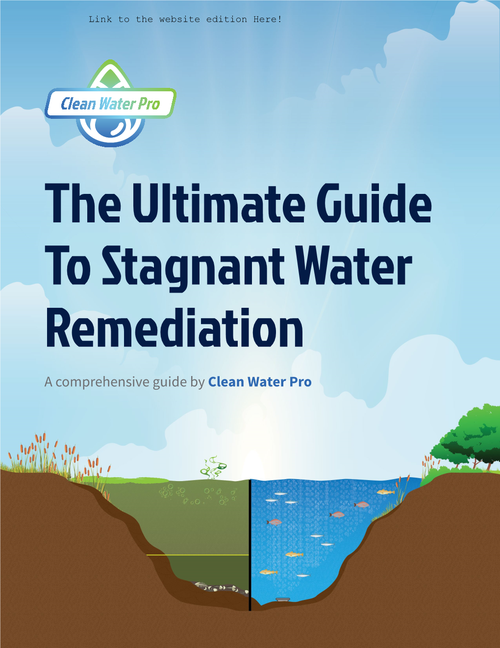 Ultimate Guide to Stagnant Water Remediation