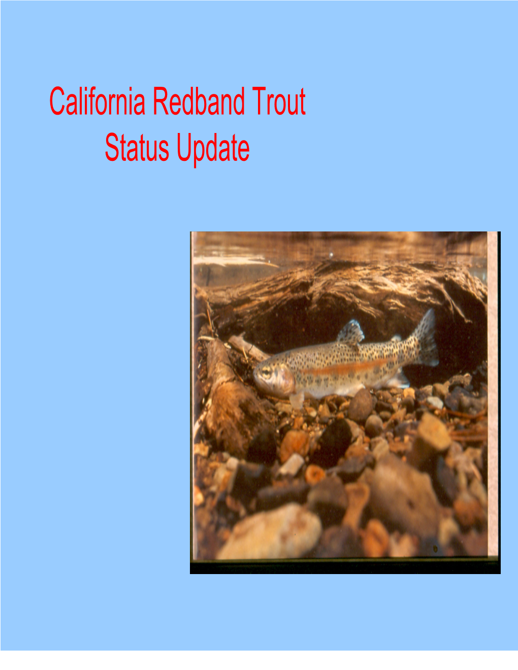 California Redband Trout Status Update