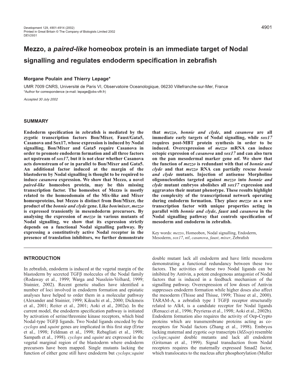 Mezzo in Endoderm Formation in Zebrafish