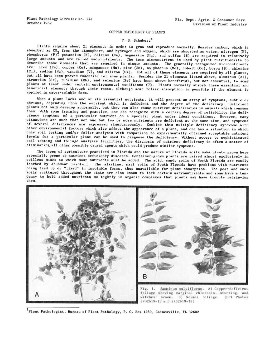 Copper Deficiency of Plants