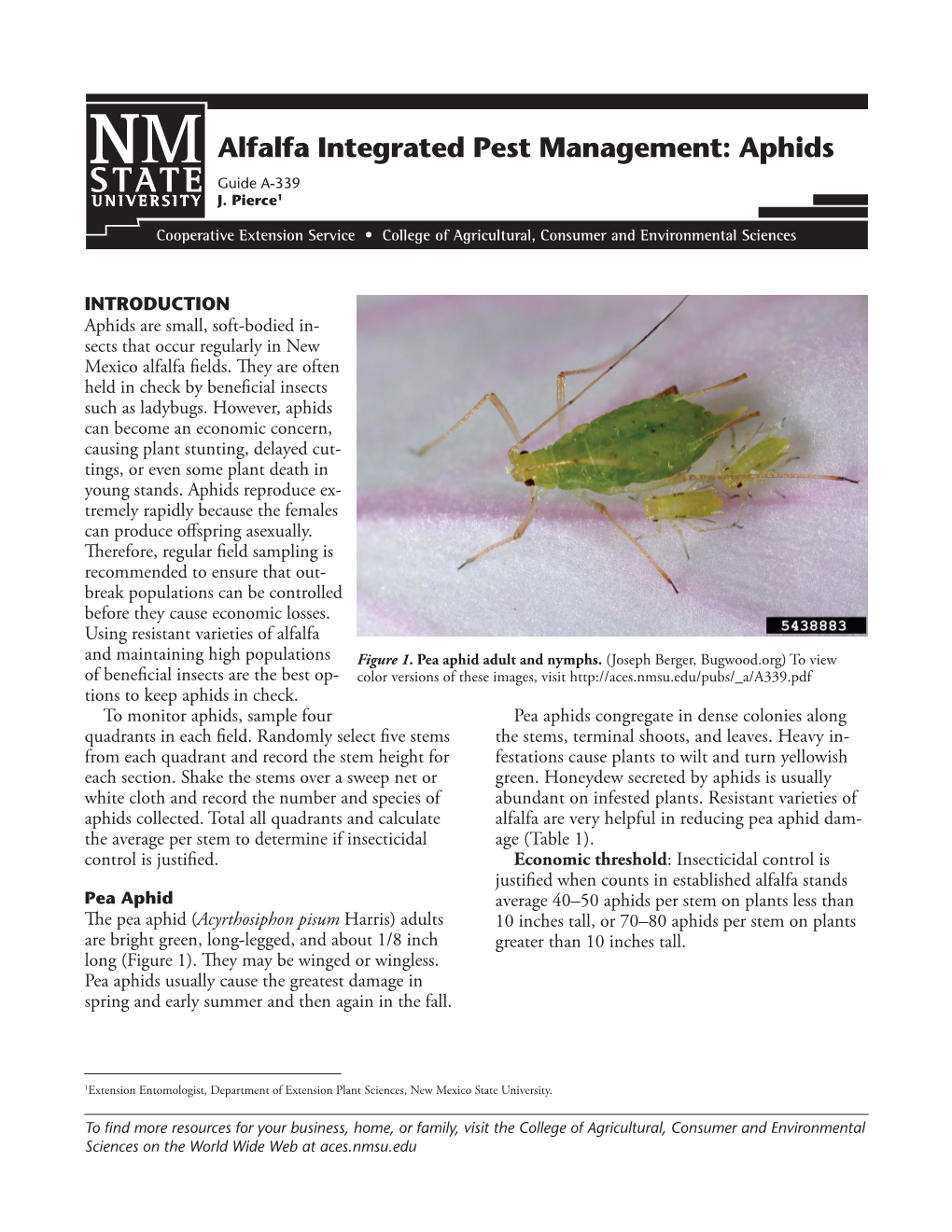 Alfalfa Integrated Pest Management: Aphids Guide A-339 J