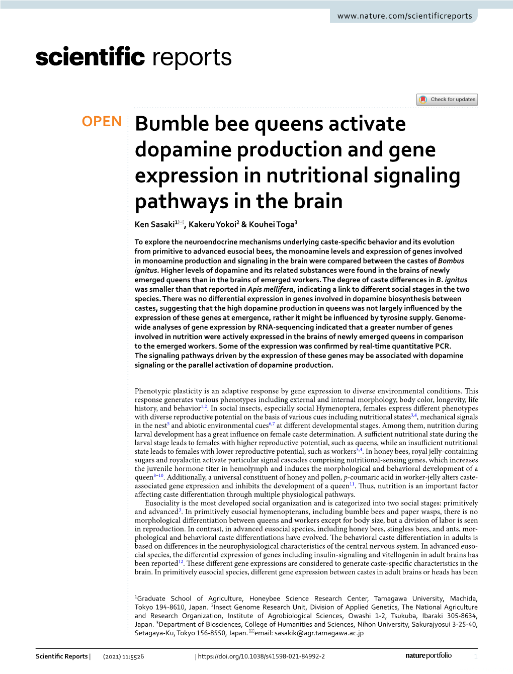 Bumble Bee Queens Activate Dopamine Production and Gene Expression in Nutritional Signaling Pathways in the Brain Ken Sasaki1*, Kakeru Yokoi2 & Kouhei Toga3