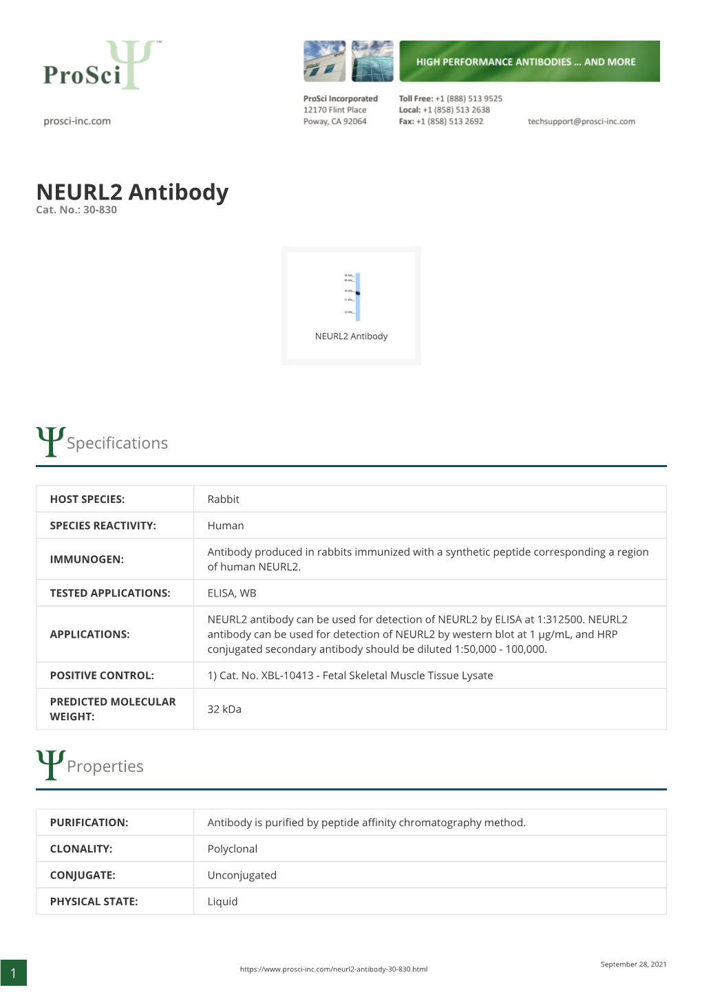 NEURL2 Antibody Cat