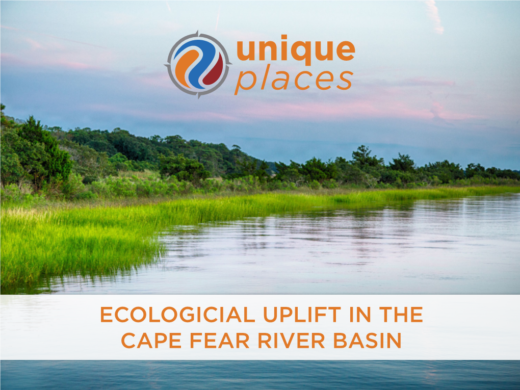 Unique Places Unique ECOLOGICIAL UPLIFT in the CAPE FEAR RIVER BASIN Unique Places Places ABOUT UNIQUE PLACES