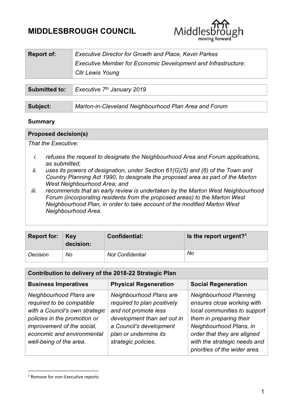 Neighbourhood Plan Executive Report