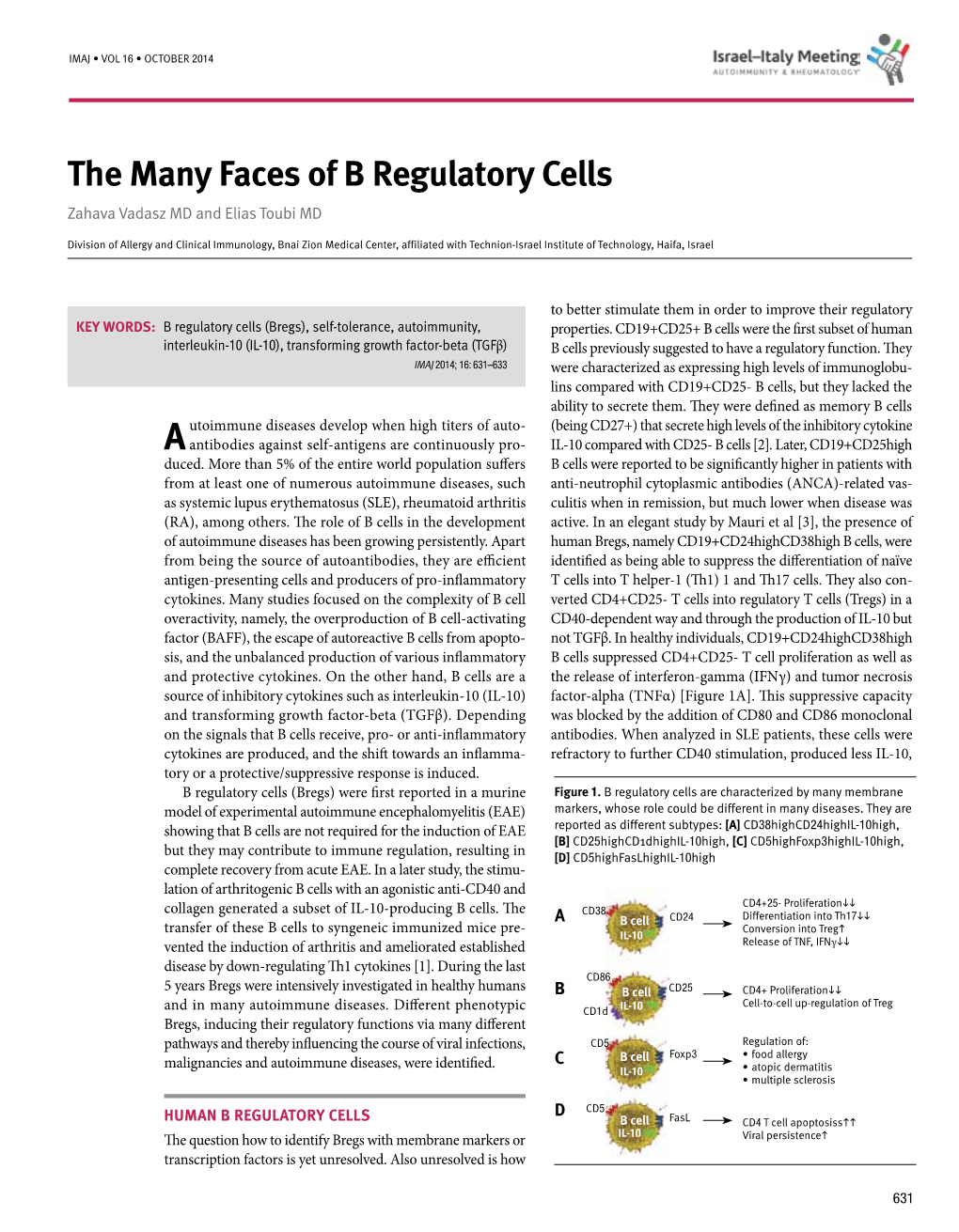 The Many Faces of B Regulatory Cells Zahava Vadasz MD and Elias Toubi MD