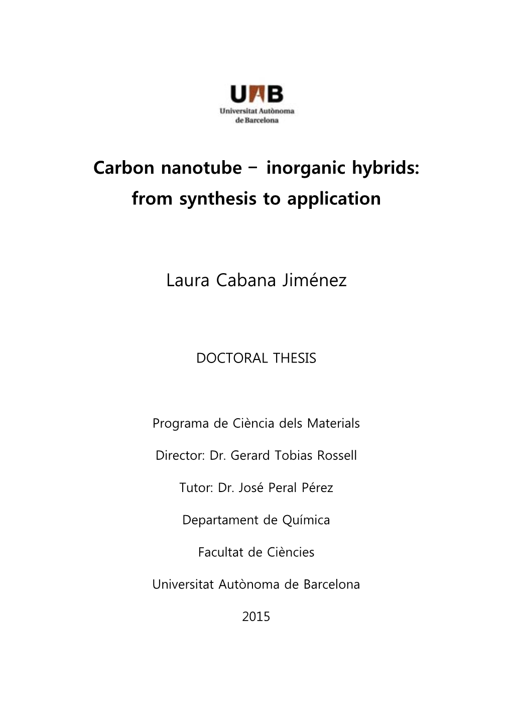Carbon Nanotube ‒ Inorganic Hybrids: from Synthesis to Application
