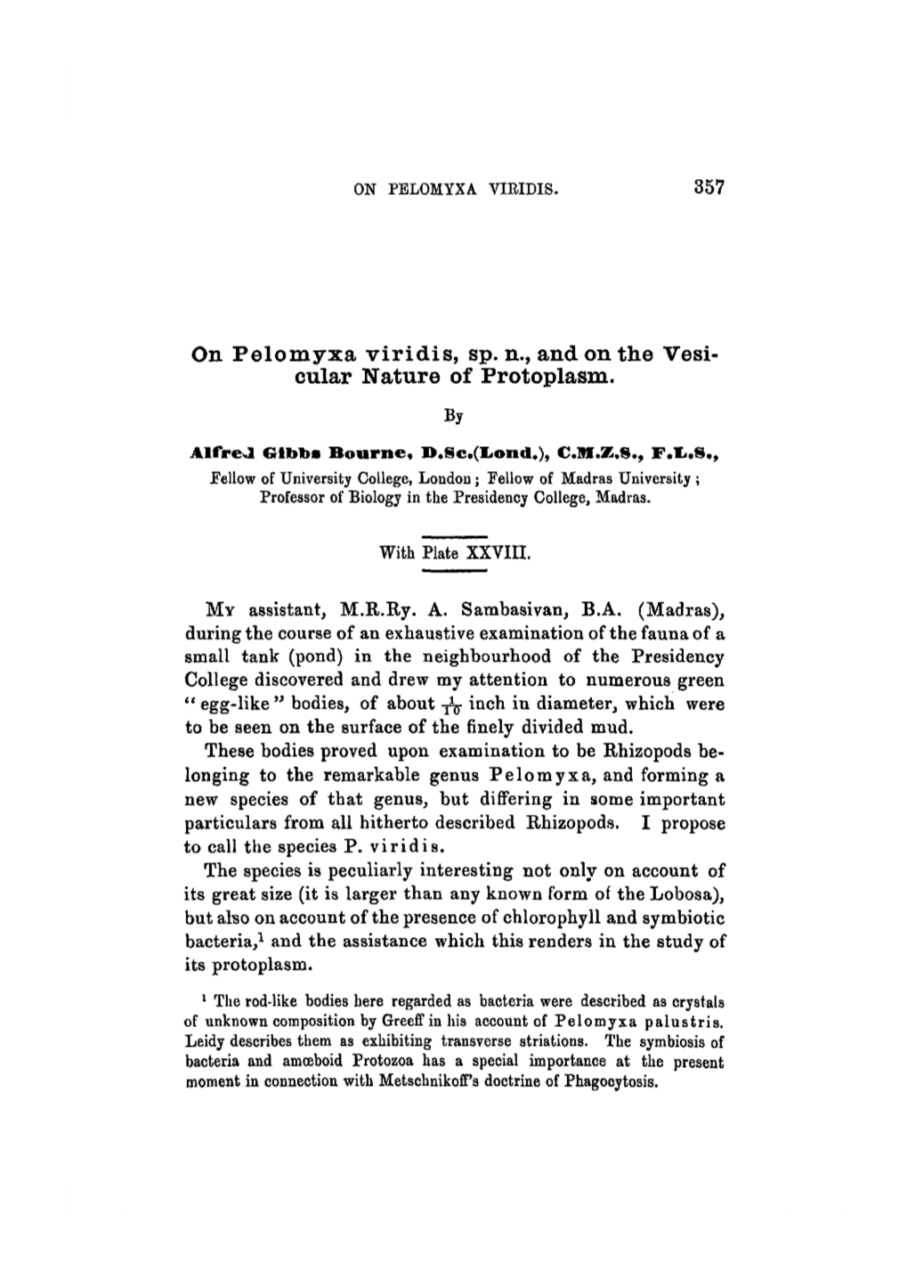 On Pelomyxa Viridis, Sp. N., and on the Vesi- Cular Nature of Protoplasm