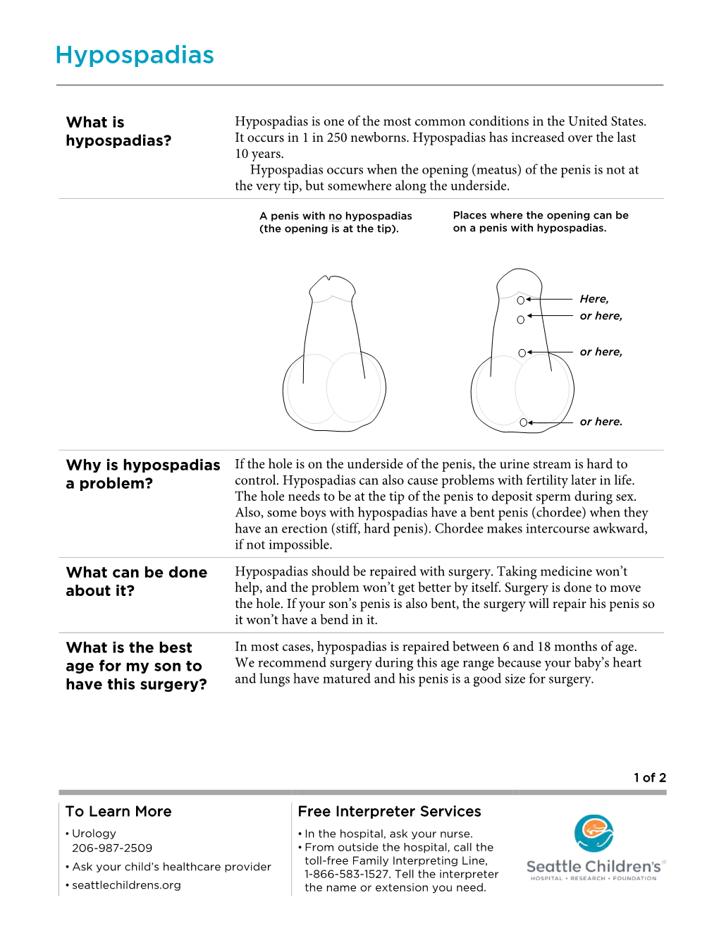 PE470 Hypospadias