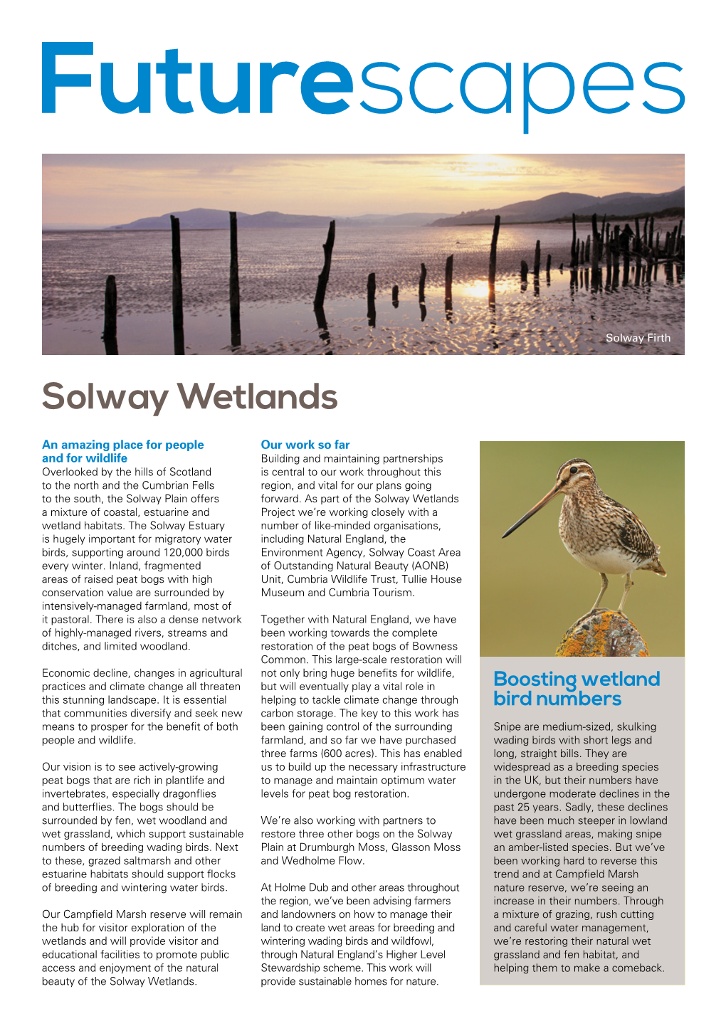 Solway Wetlands